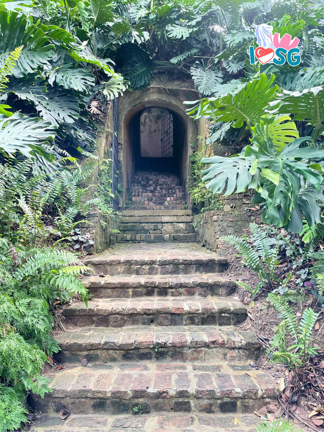 🇸🇬 Berry welcome to Fort Canning Park