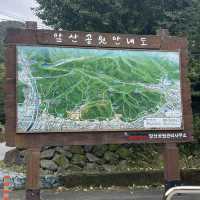 大邱市内を一望‼️アッ山ケーブルカー＊アッ山展望台