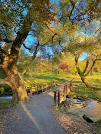 【福島】紅葉とエメラルドグリーンのコントラストが絶景