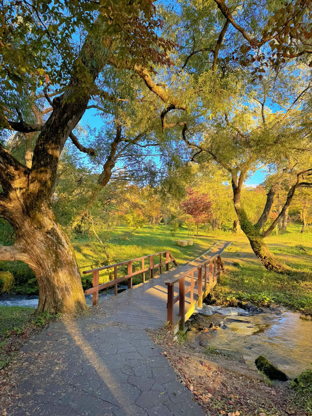 【福島】紅葉とエメラルドグリーンのコントラストが絶景