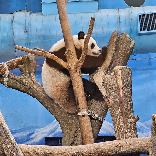 台灣最大的動物園 — 臺北市立動物園🐾