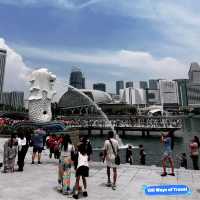 Unforgettable Singapore Adventure!