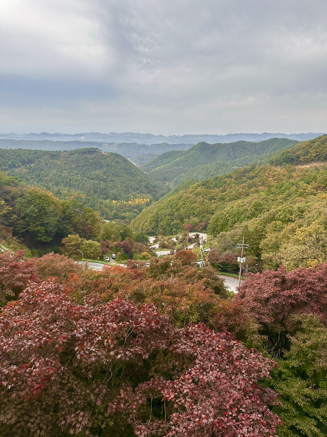 🧡낭만적인 가을, 오색빛깔 자연의 만추 풍경을 볼 수 있는 🍁가을여행추천 🍁