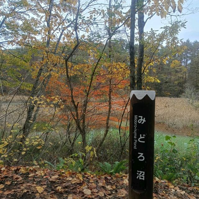 日本/東北/日本九寨溝~五色沼 賞楓的好地方~風景很美