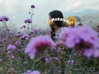 ถ่ายรูปเพลินๆ กับดอกไม้งามที่ดอยม่อนแจ่ม!