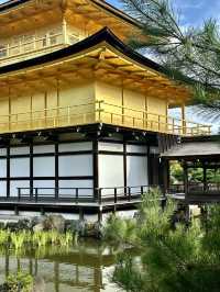 Kinkaku-ji: Kyoto’s Iconic Golden Pavilion 🏯✨