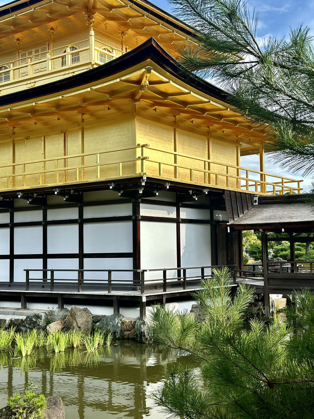 Kinkaku-ji: Kyoto’s Iconic Golden Pavilion 🏯✨