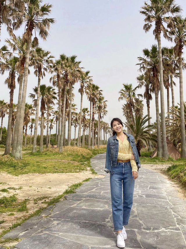 제주의 야자수를 느낄 수 있는 해변 🌴