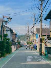 일본 가마쿠라🇯🇵 산책하기 좋은 가마쿠라🩵