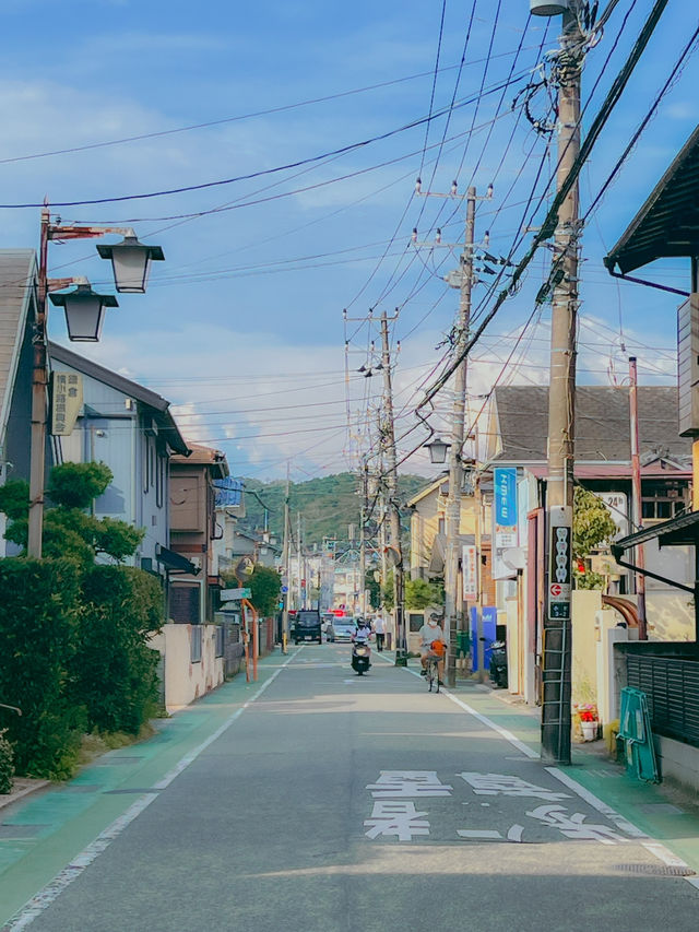 일본 가마쿠라🇯🇵 산책하기 좋은 가마쿠라🩵