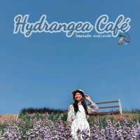 Hydrangea Cafe 🌸🏵