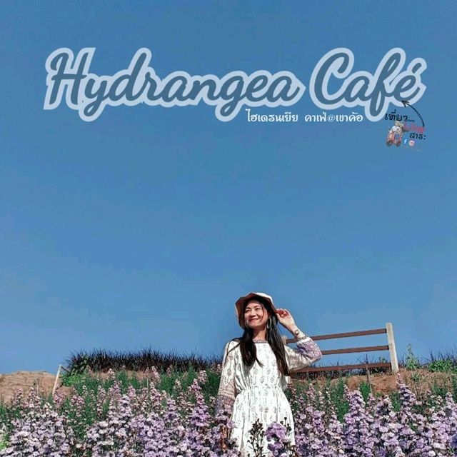Hydrangea Cafe 🌸🏵