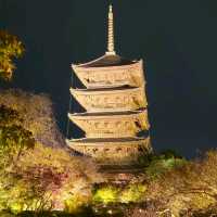 ✨ บรรยากาศสุดฟิน! ชมไฟกลางคืนที่วัดToji, Kyoto✨