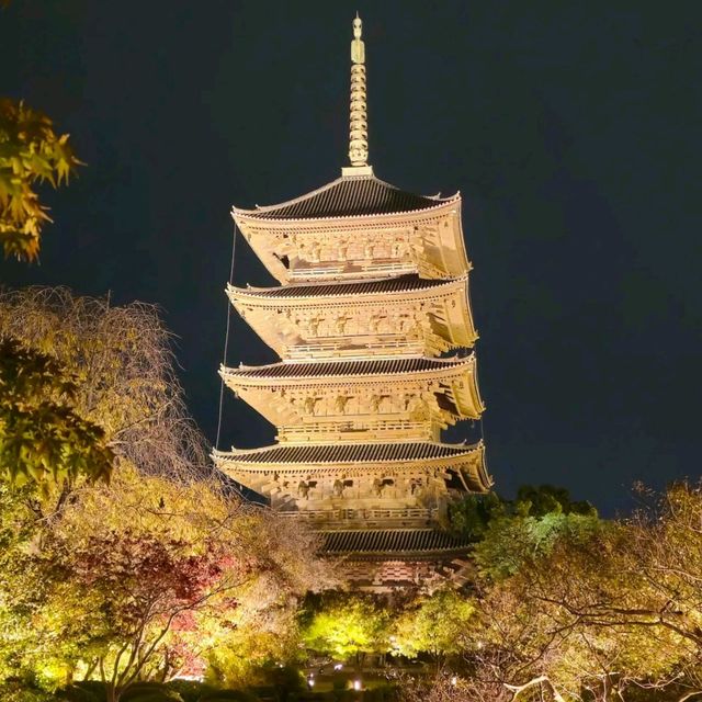✨ บรรยากาศสุดฟิน! ชมไฟกลางคืนที่วัดToji, Kyoto✨