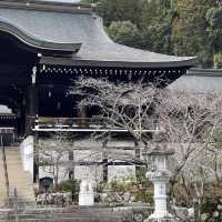 露天神社：靈性之地 ✨⛩️