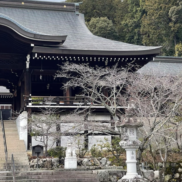 露天神社：靈性之地 ✨⛩️