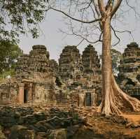 Angkor Wat: A Journey Through the Majestic Temples of Cambodia