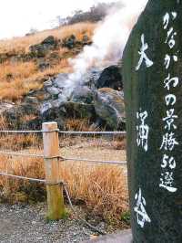 東京箱根🍁紅葉之旅🍁2天之行