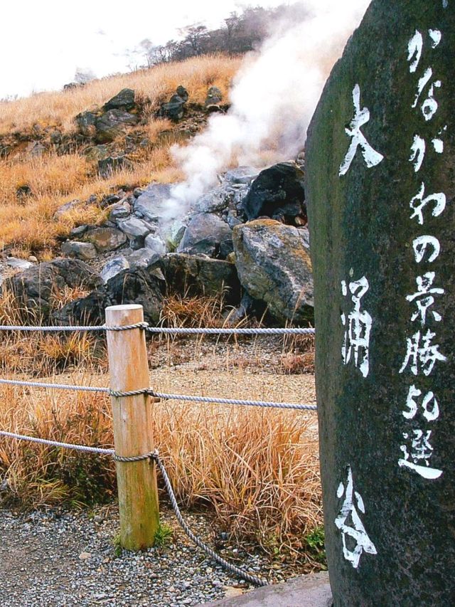 東京箱根🍁紅葉之旅🍁2天之行