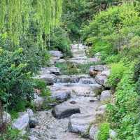 花柏山公園：悠閒秘境 🌳🌼