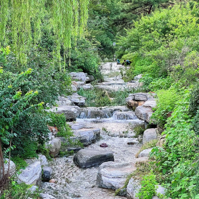 花柏山公園：悠閒秘境 🌳🌼