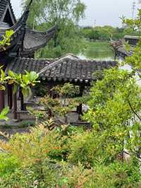 【大阪】花博記念公園鶴見緑地で季節を愛でる♡ 