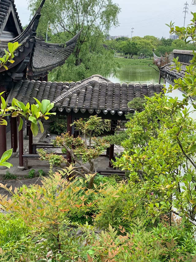 【大阪】花博記念公園鶴見緑地で季節を愛でる♡ 