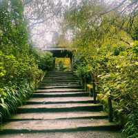 【鎌倉×円覚寺】歴史と自然に包まれる荘厳な寺院
