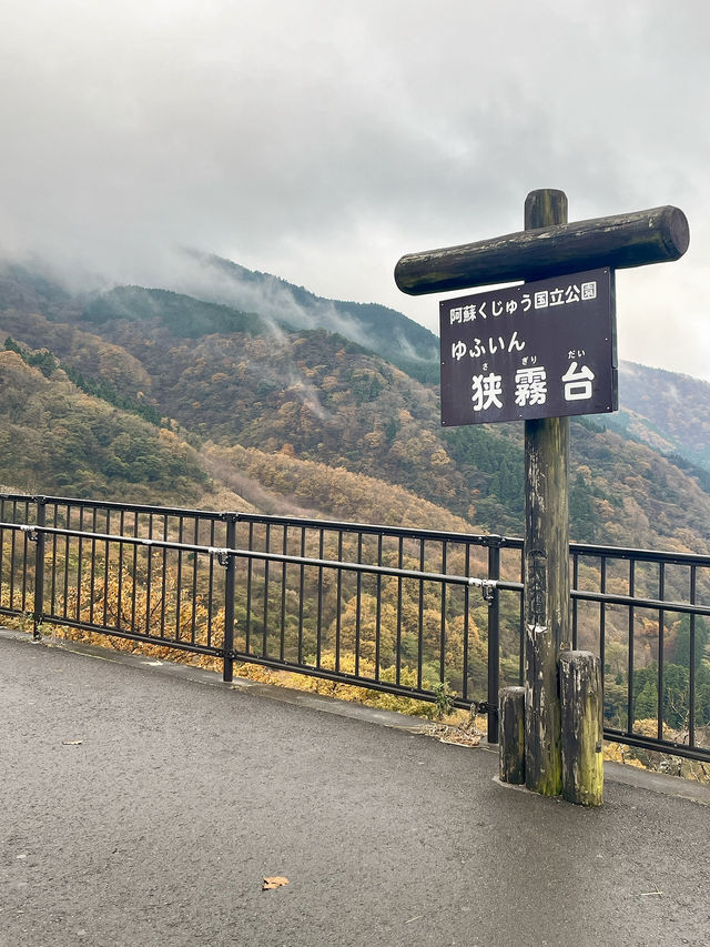 【湯布院】絶景！展望台から湯布院が一望✨