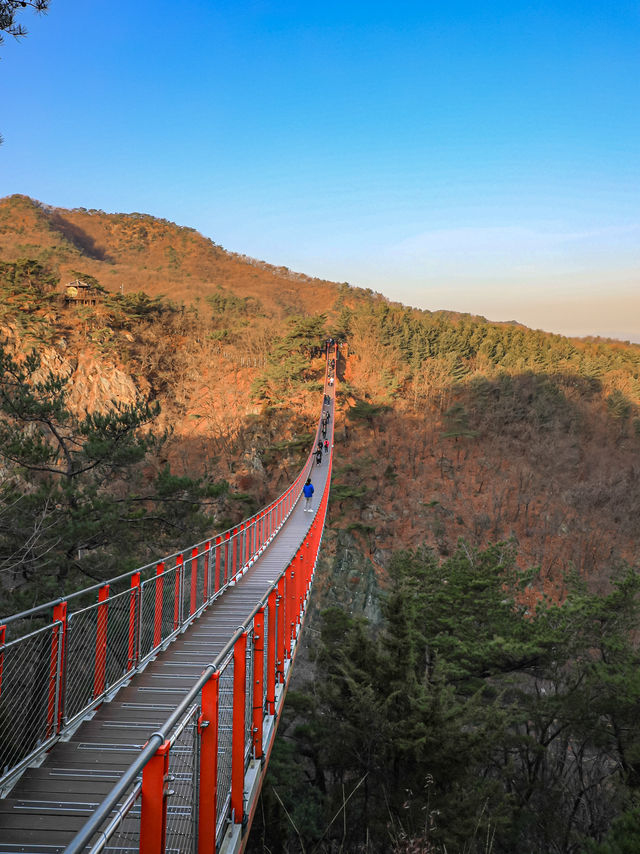 【坡州🇰🇷】スリル満点のサスペンションブリッジ
