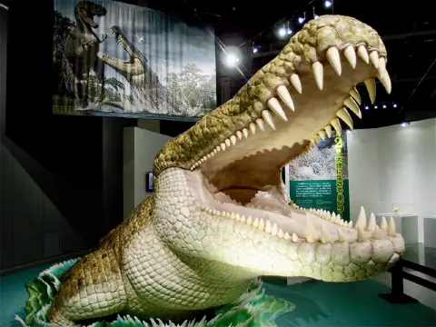 福岡親子景點｜名古屋科學館玩一整天！🦖