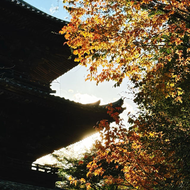 荏原神社：禪意之地🧘‍♀️