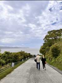 【直島 ベネッセハウスミュージアム】ここで暮らしたい🤤