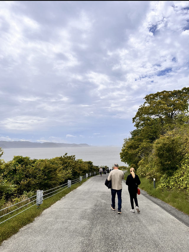 【直島 ベネッセハウスミュージアム】ここで暮らしたい🤤