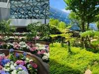 สัมผัสพรรณไม้เมืองหนาวในแดนร้อน 🌷