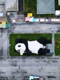 ตามหา แพนด้ายักษ์ เซลฟี่ ที่เมือง Dujiangyan