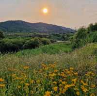 Upo Wetlands