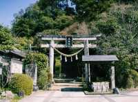 奈良🇯🇵飛鳥坐神社