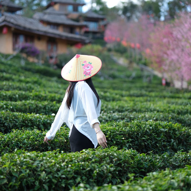 บ้านรักไทย แม่ฮ่องสอน