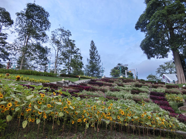 เที่ยวระยอง สตรอเบอรี่ ทาวน์ สไตล์เนเธอร์แลนด์