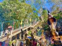 ขอพรพญานาคองค์ดำ แสนสิริจันทรา 