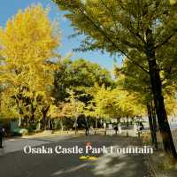 Osaka Castle Park Fountain