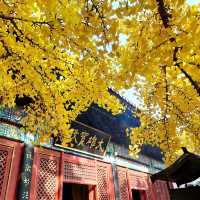 ไหว้พระขอพร @ Hongluo Temple
