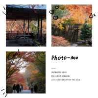 上田公園-黃金畫廊