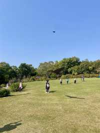 🚶‍♀️‍➡️🌸 人在花叢中｜香港賞花野餐首選海濱公園🥇🌹🌈
