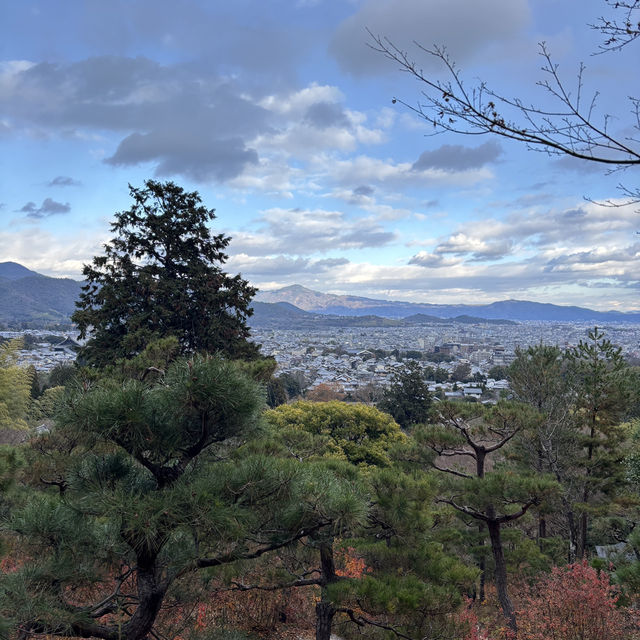 Kyoto was absolutely stunning and wins the hearts of millions