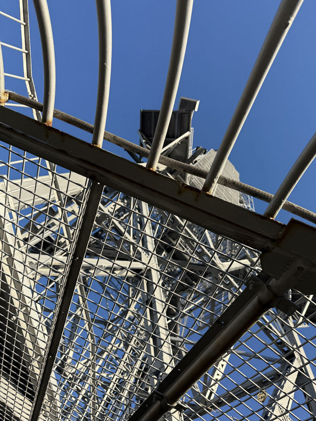 The Iconic Nagoya Tower, Incredible Views Of the City 🗼🏙️🤩   