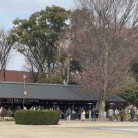 Relaxing time at Ueno Park, Tokyo