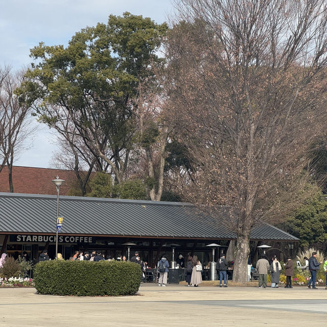 Relaxing time at Ueno Park, Tokyo