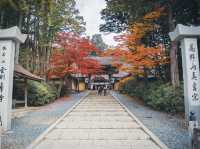 🍁秋色に染まる金剛峯寺で心癒されるひとときを🍁